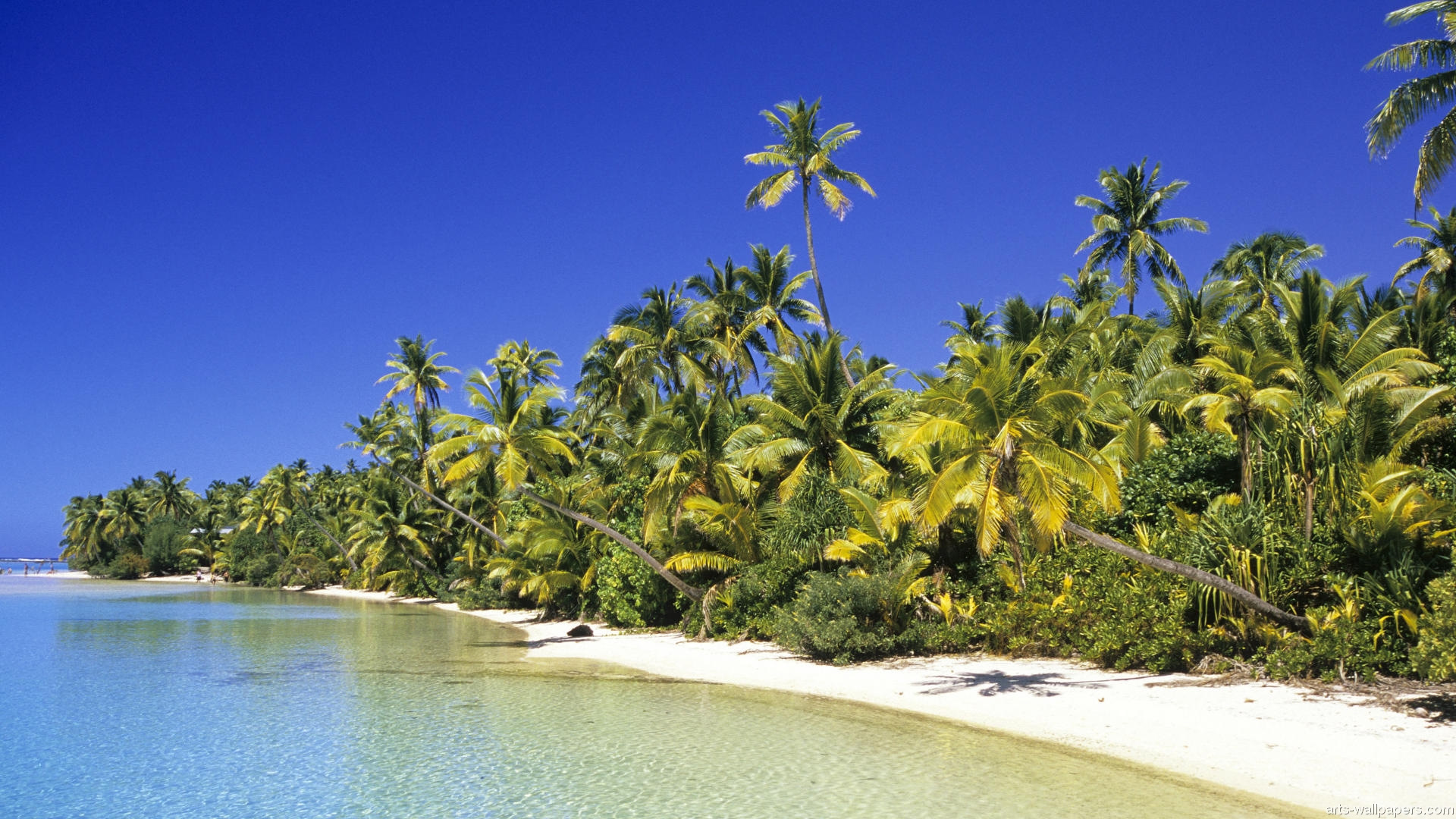 Island beach 2. Кокосовая Пальма острова Кука. Острова Кука 3. Острова Кука пляжи. Куба остров Кука.