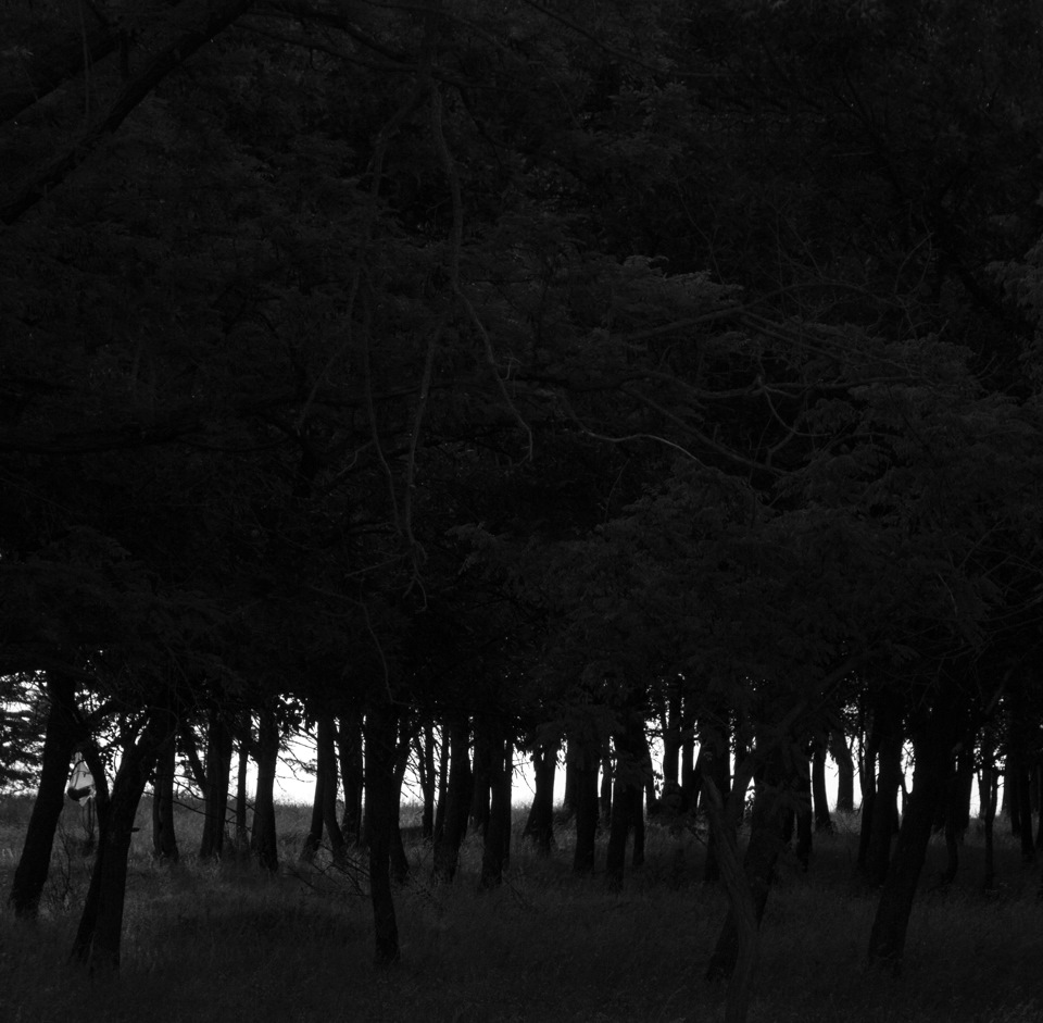 Очередная встреча рассвета — DRIVE2