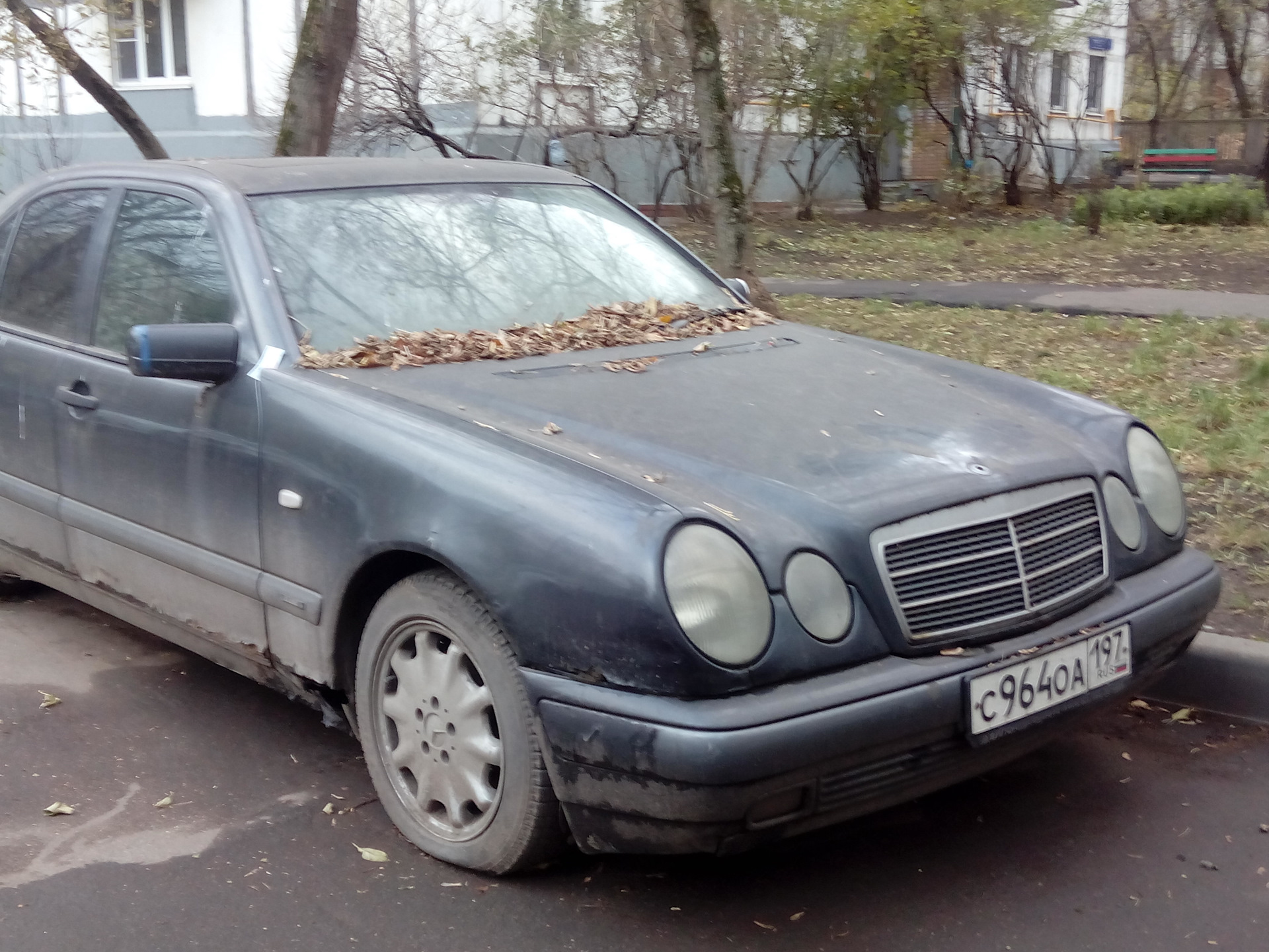 mercedes лупатый