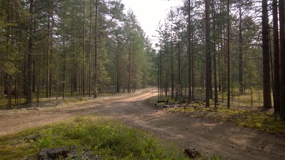 Фото в бортжурнале Audi 100 (C4)