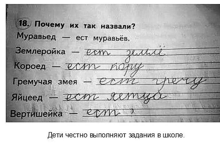 Сочинения детей смешные картинки, препинания
