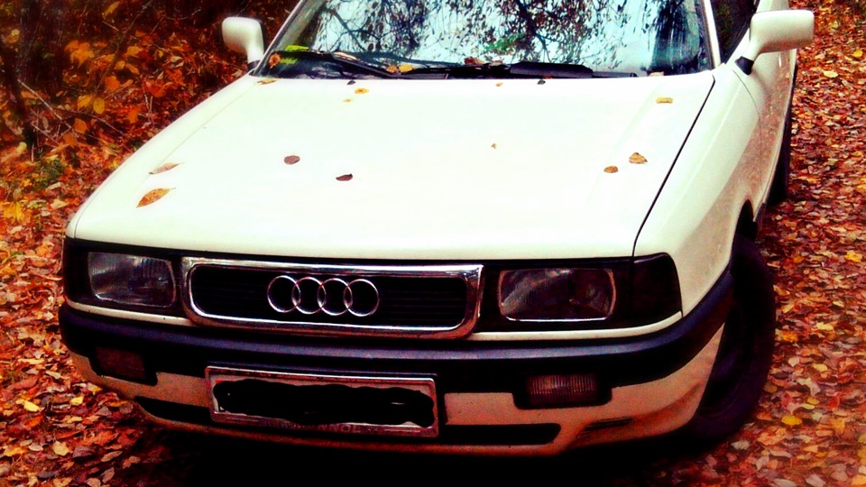 Audi 80 Ivory