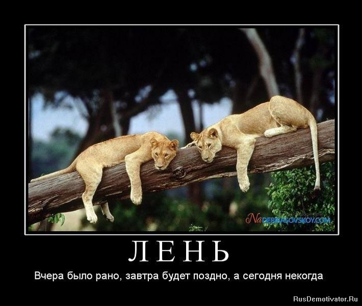 Прикольные картинки лень, про массаж картинки