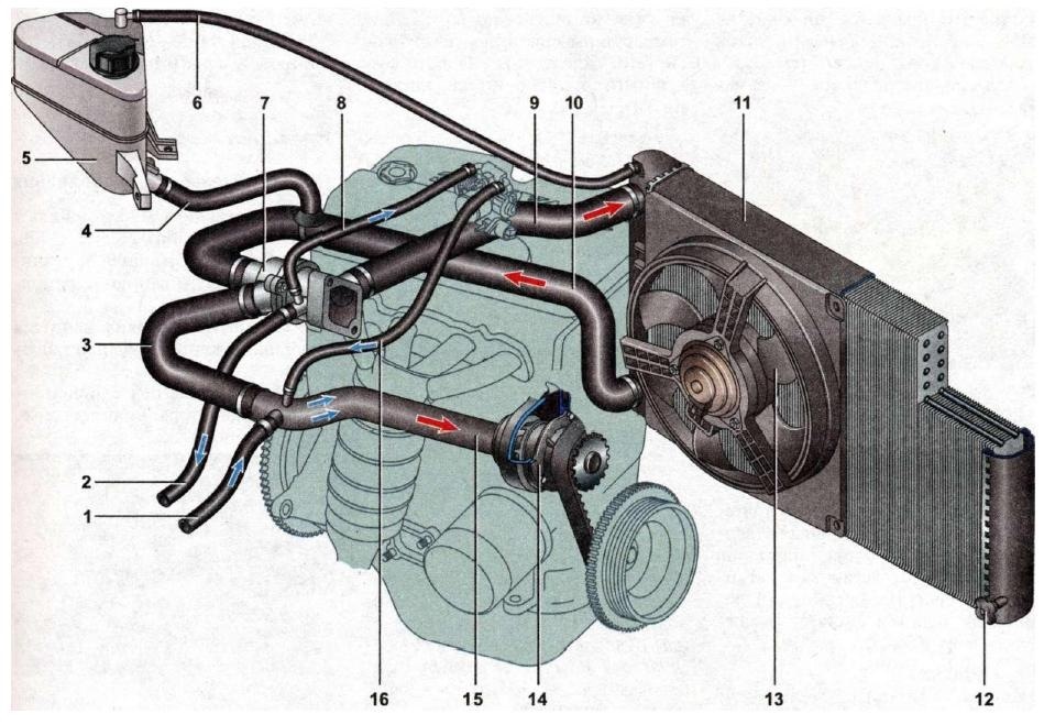 Система охлаждения Лада Калина 8 клапанов, каких сюрпризов ожидать владельцам?