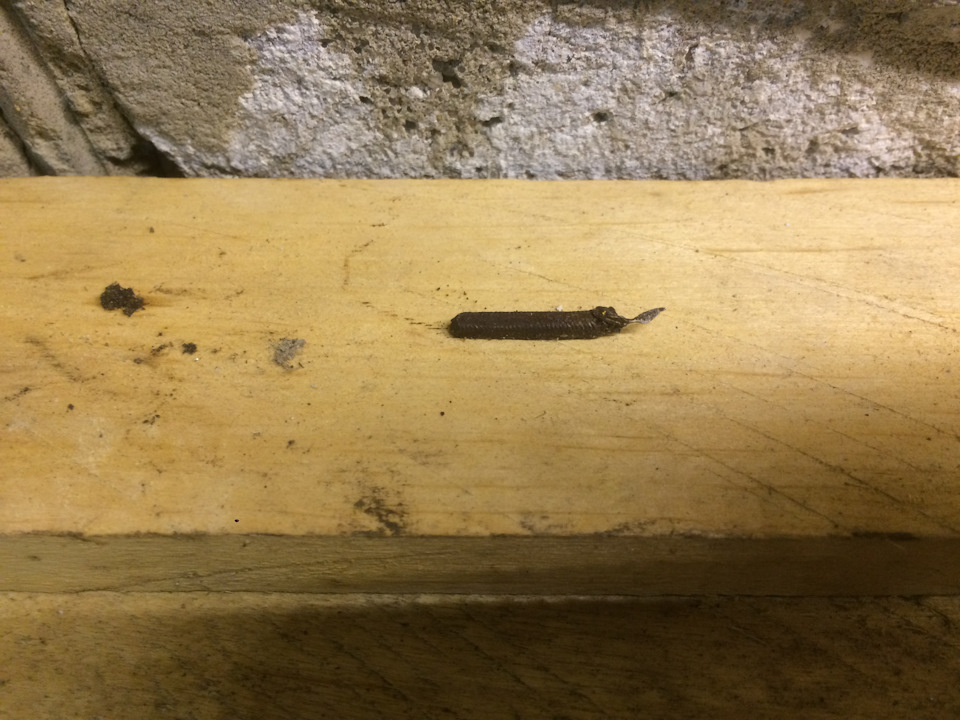 Замена троса спидометра — Volkswagen Passat B3, 1,8 л., 1989 года ...