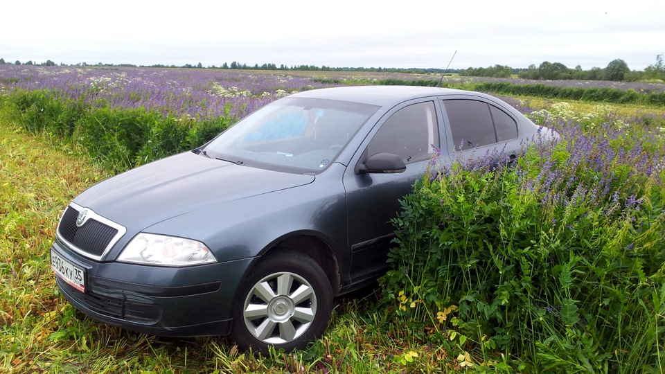 Skoda Octavia Таисия