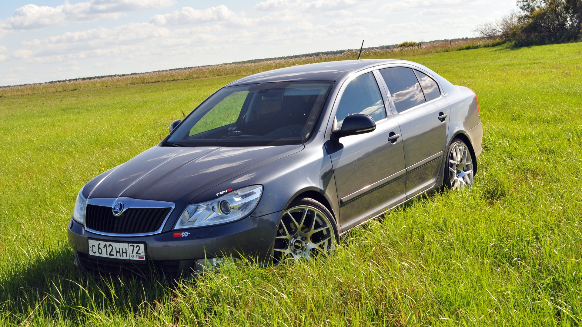 Skoda a5. Octavia a5 r19. Шкода Октавия r19. Skoda Octavia a5 Military. Skoda Octavia a5 extreme.