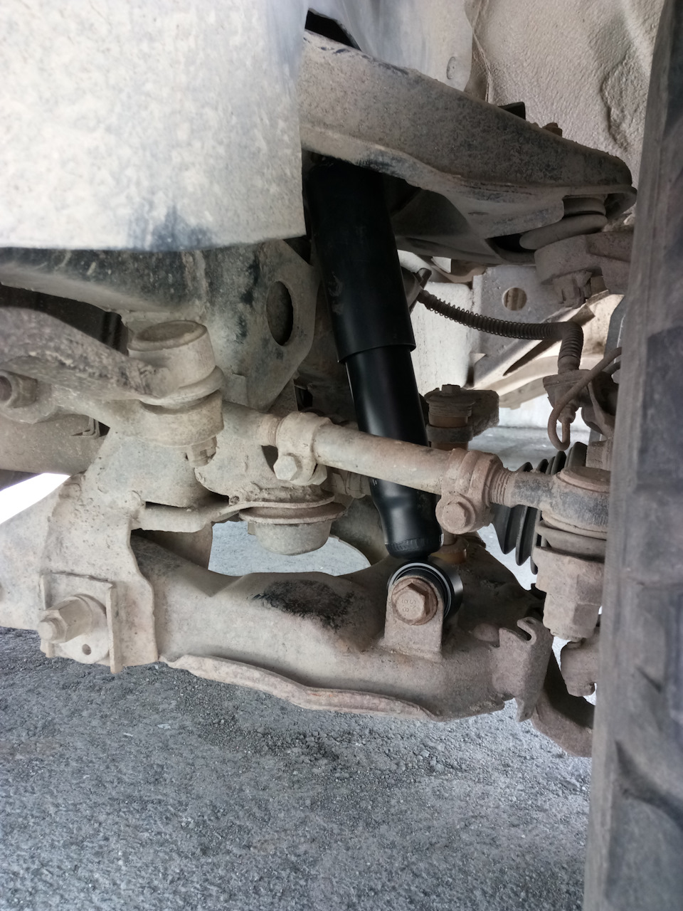 Фото в бортжурнале Great Wall Deer