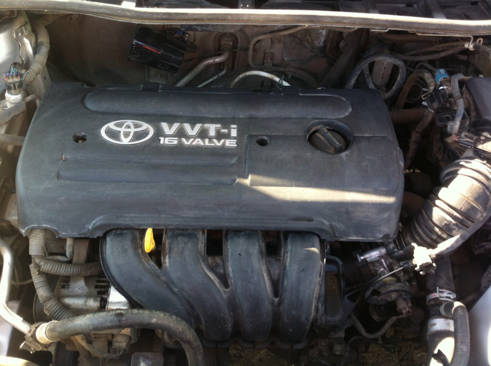 Kärcher SC1020 — Toyota Corolla (140/150), 1,4 л, 2008 года | мойка ...