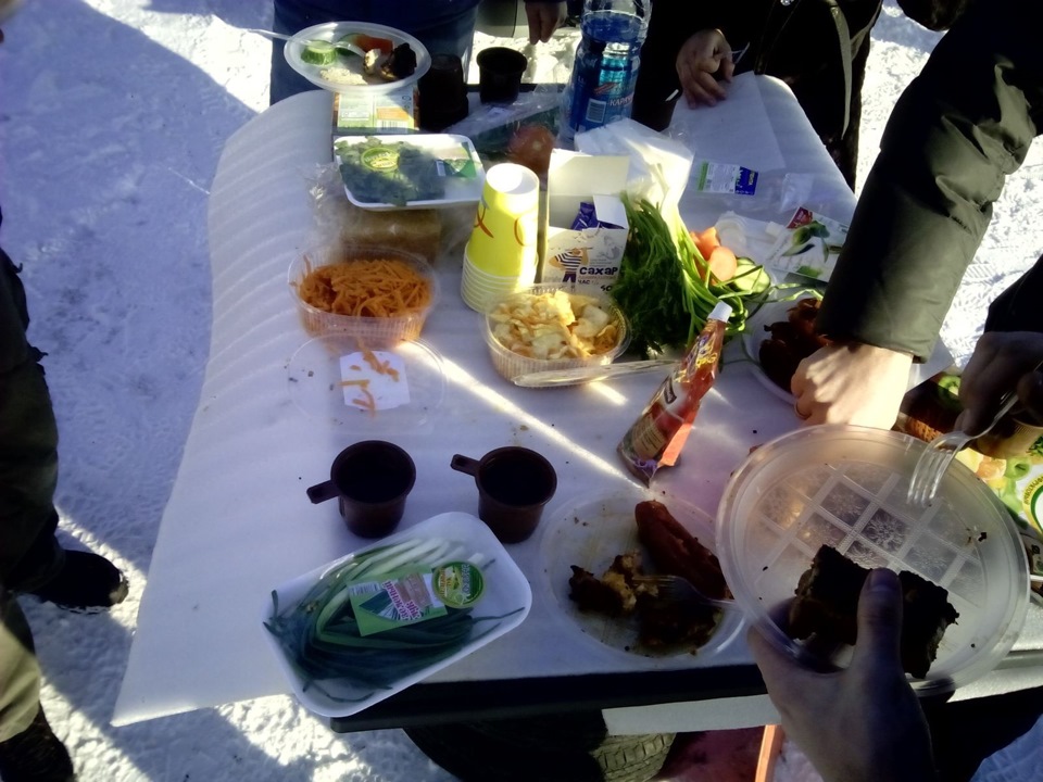 Фото в бортжурнале Honda Element