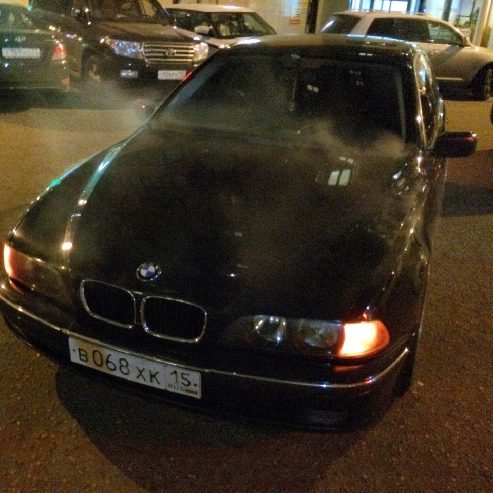 Хэллоуин — BMW 5 series (E39), 2 л, 2000 года | покупка машины | DRIVE2