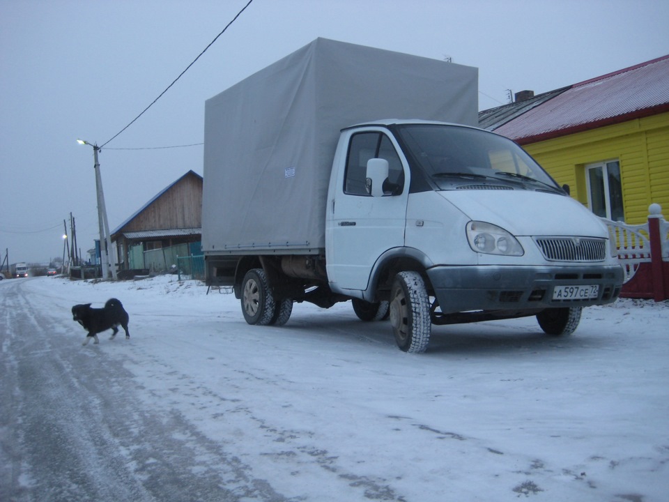 Нас не догонят… — ГАЗ Газель, 2004 года | тюнинг | DRIVE2