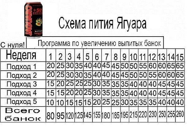 Таблица отжиманий от пола на месяц