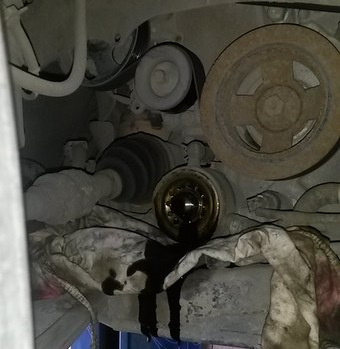 Фото в бортжурнале Nissan Teana (J32)