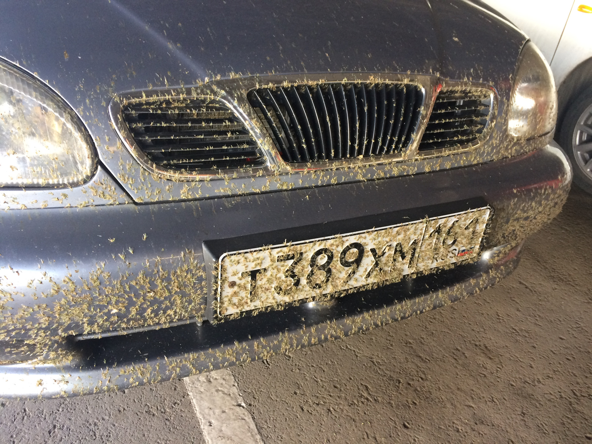 Замена сальника первичного вала — Chevrolet Lanos, 1,5 л, 2006 года ...