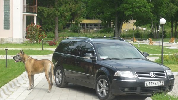 Volkswagen Passat Variant Hi-Line