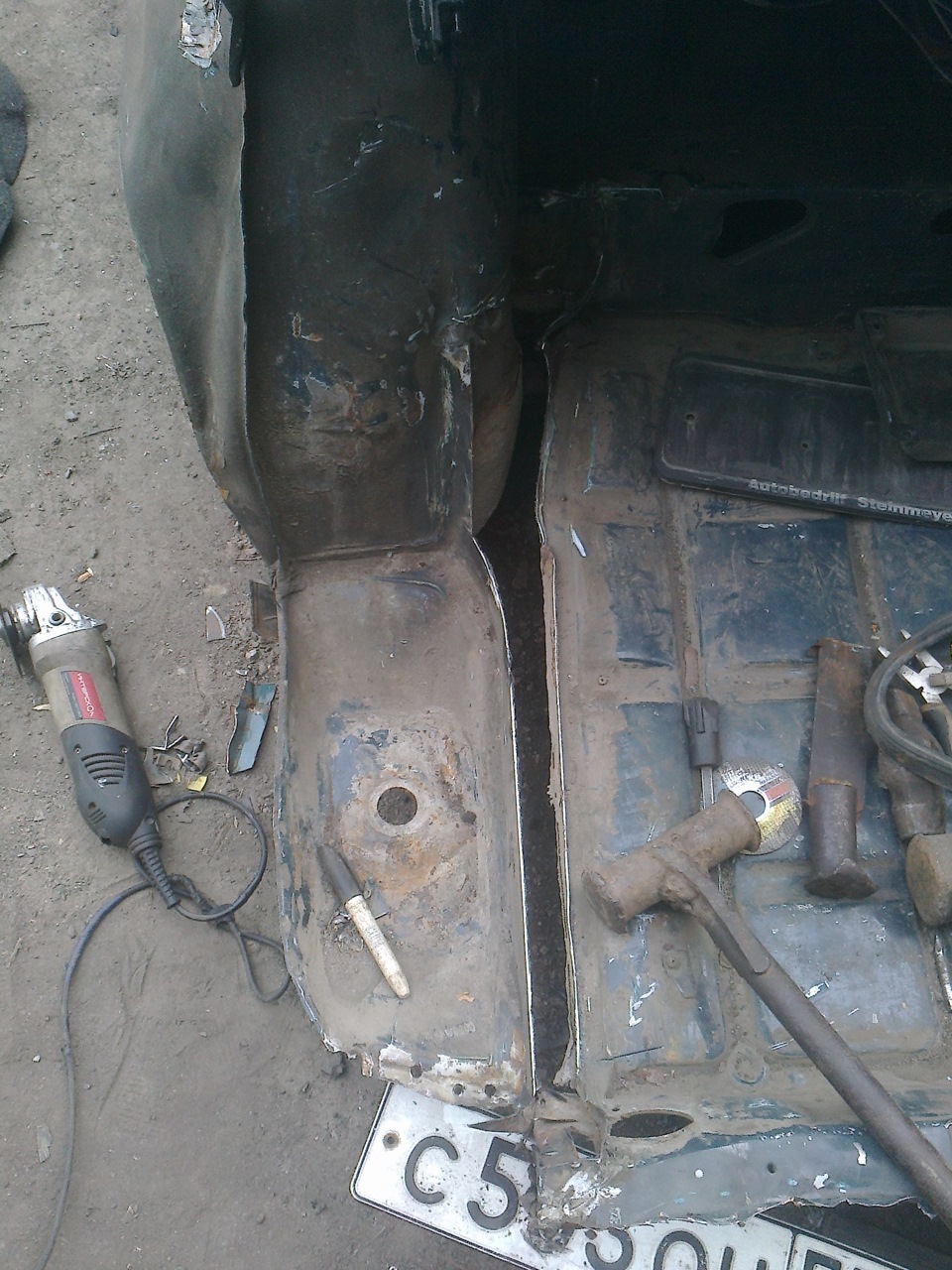 попки любительское