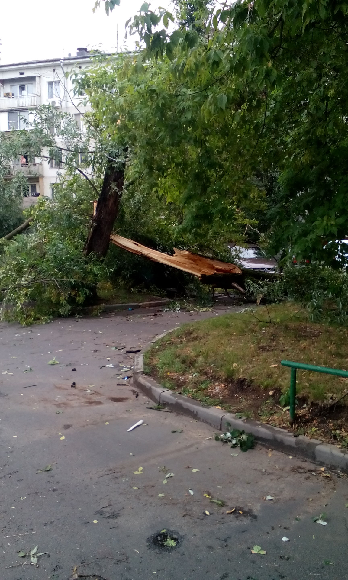 Ураган в москве