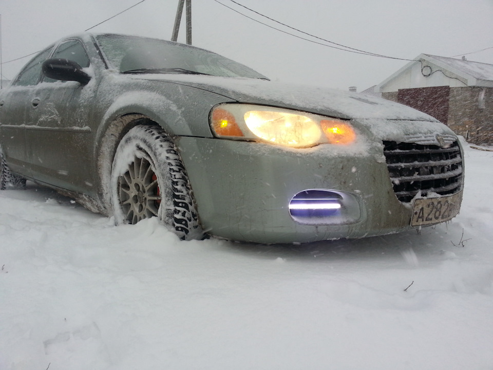 Суровый март. Котята зимой. Суровый март. Суровый март. Весенний снегопад.