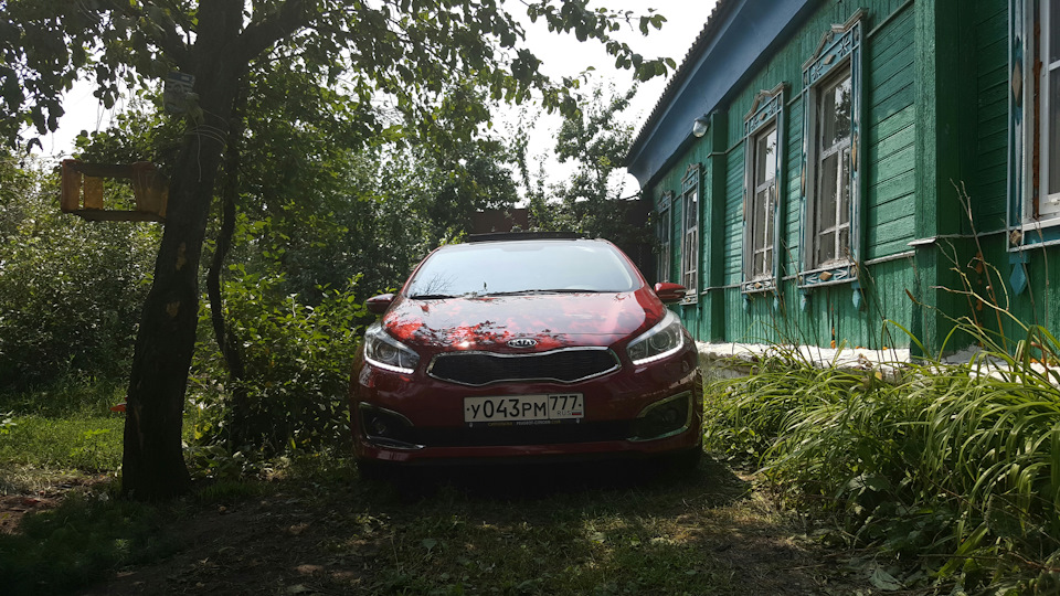 Фото в бортжурнале KIA Ceed (2G)