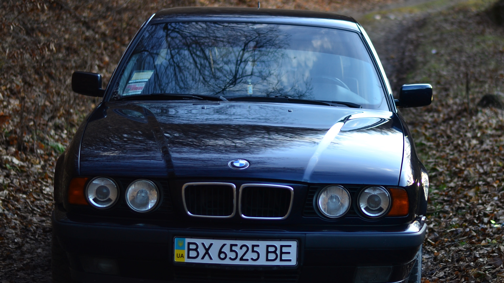 BMW 5 series (E34) 2.5 бензиновый 1995 | 