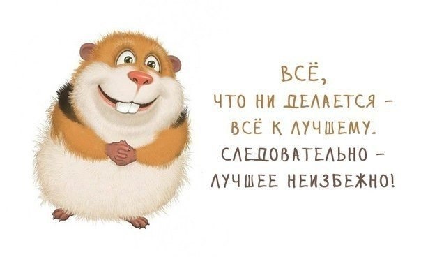 Открытки, открытки хорошо живут