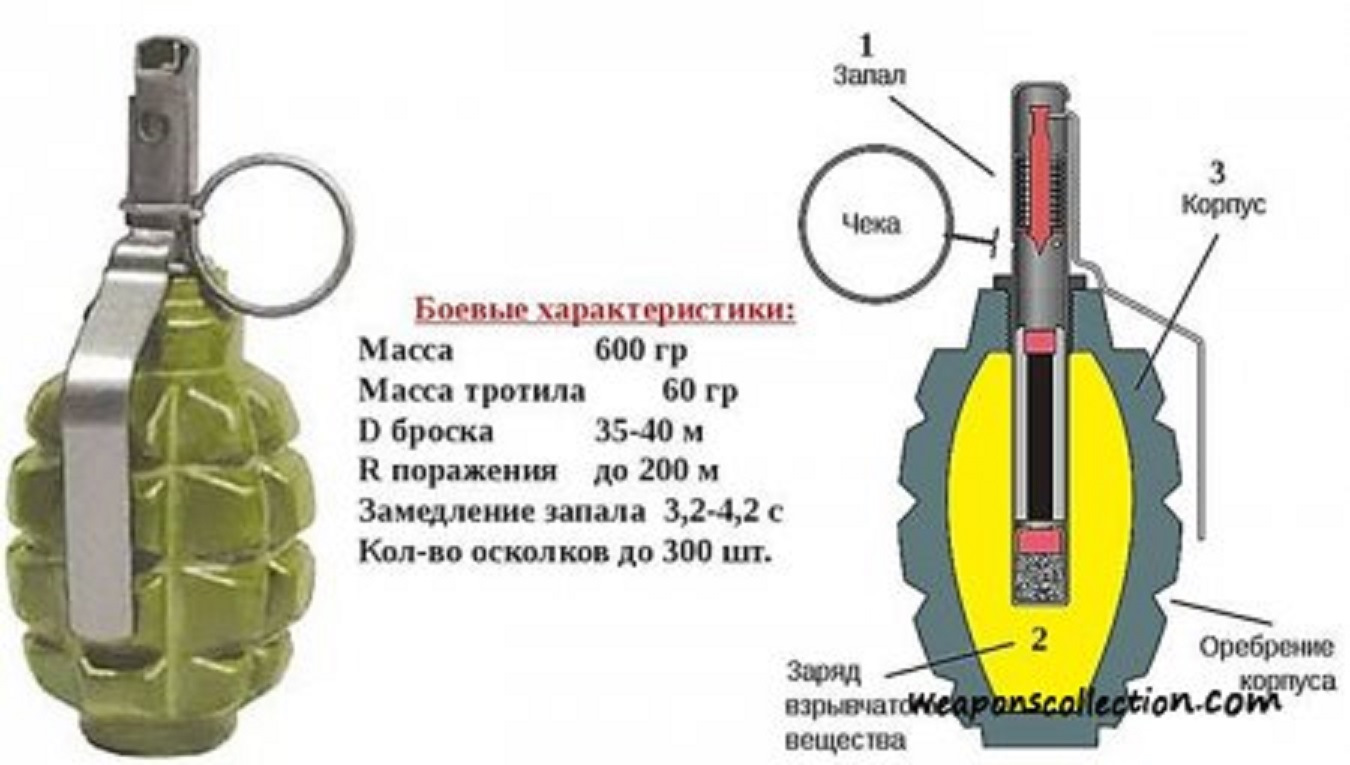 Макет Гранаты Ргд 5 Для Обж Цена