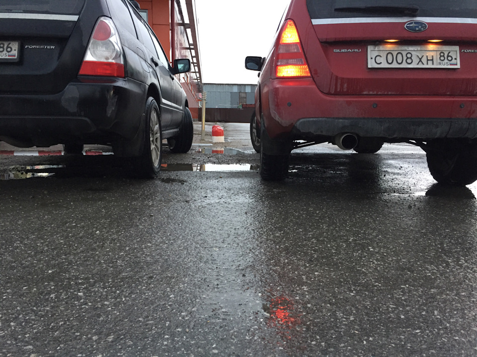 Фото в бортжурнале Subaru Forester (SG)