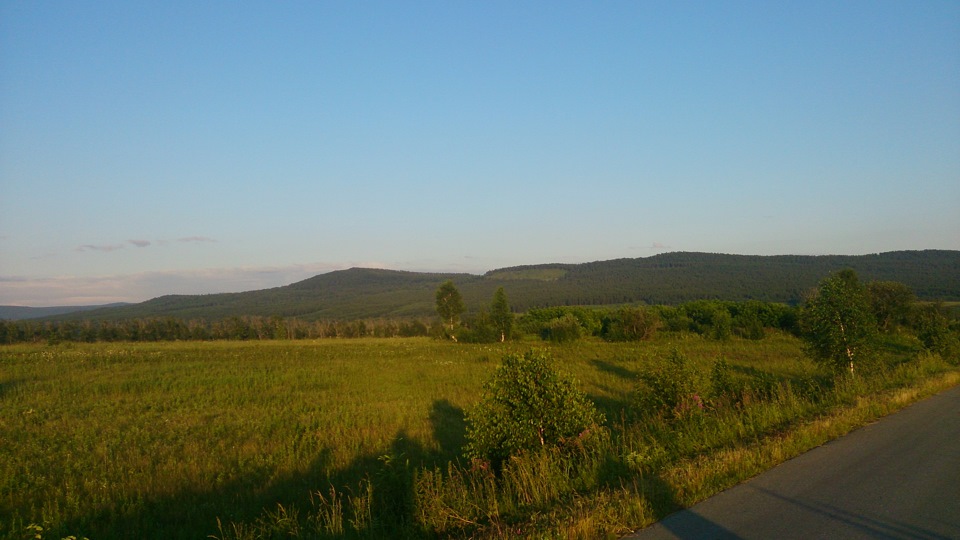 В лес, по грибы да по ягоды) — Skoda Octavia A5 Mk2, 1,6 л, 2013 года ...