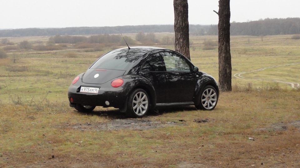 Volkswagen New Beetle черный