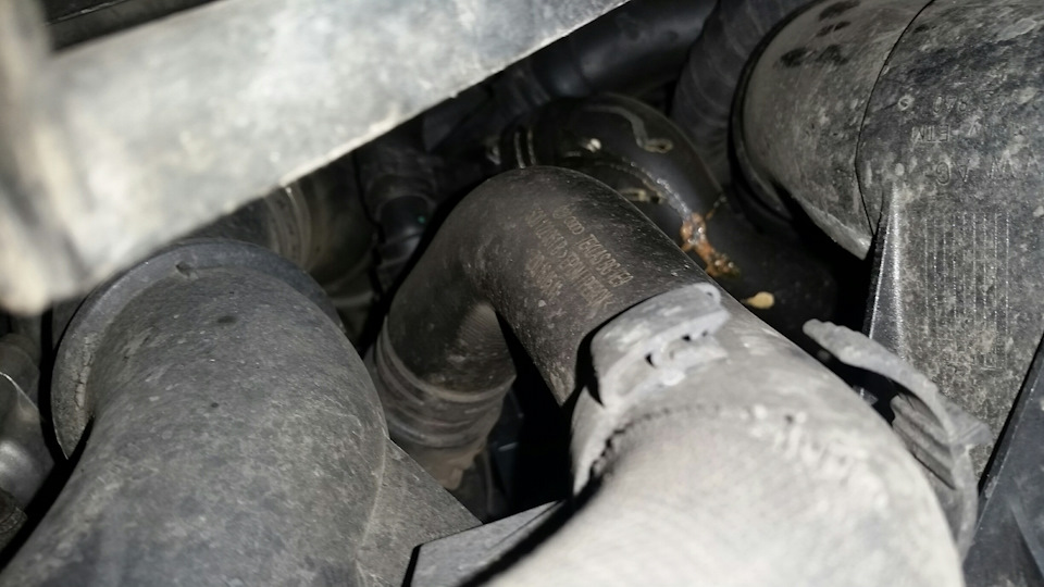 Замена масла диагностика цепи Грм — Skoda Octavia A7 Mk3, 1,8 л, 2014 ...