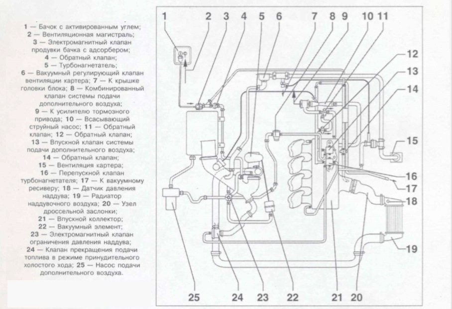 Вакуумная схема пассат б5