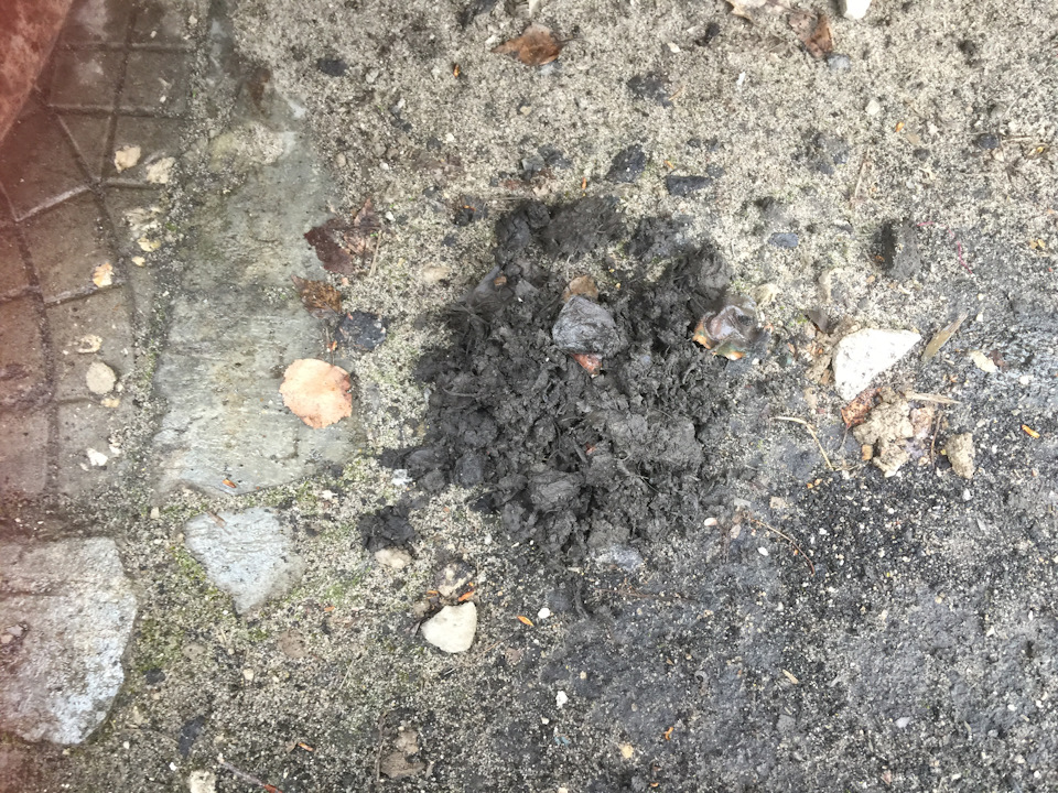 Это Gовно я выгреб — Volkswagen Passat B6