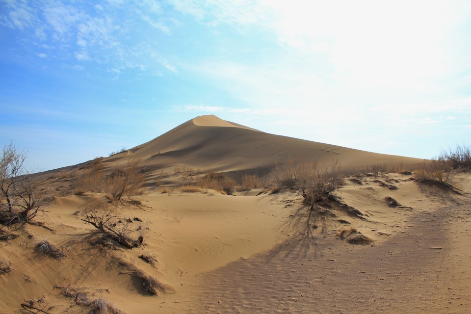 Коса эмель кто производитель