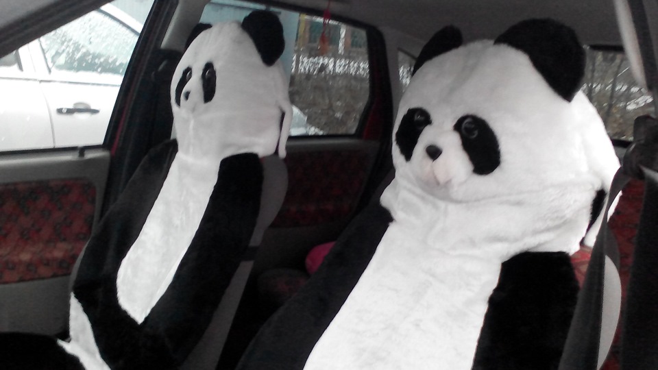 Onlyfans panda Panda 🐼