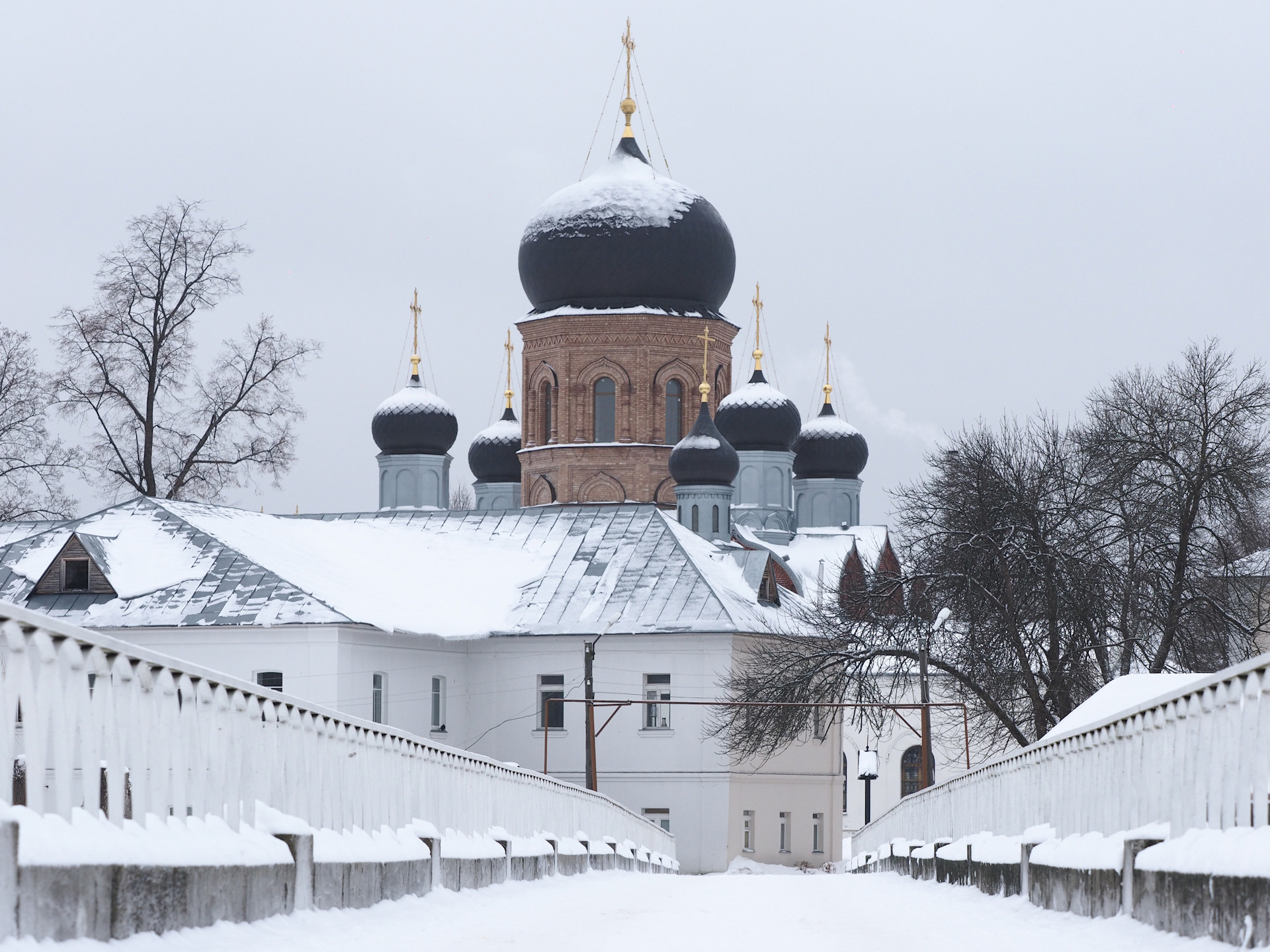 Введенский монастырь Покров зимой