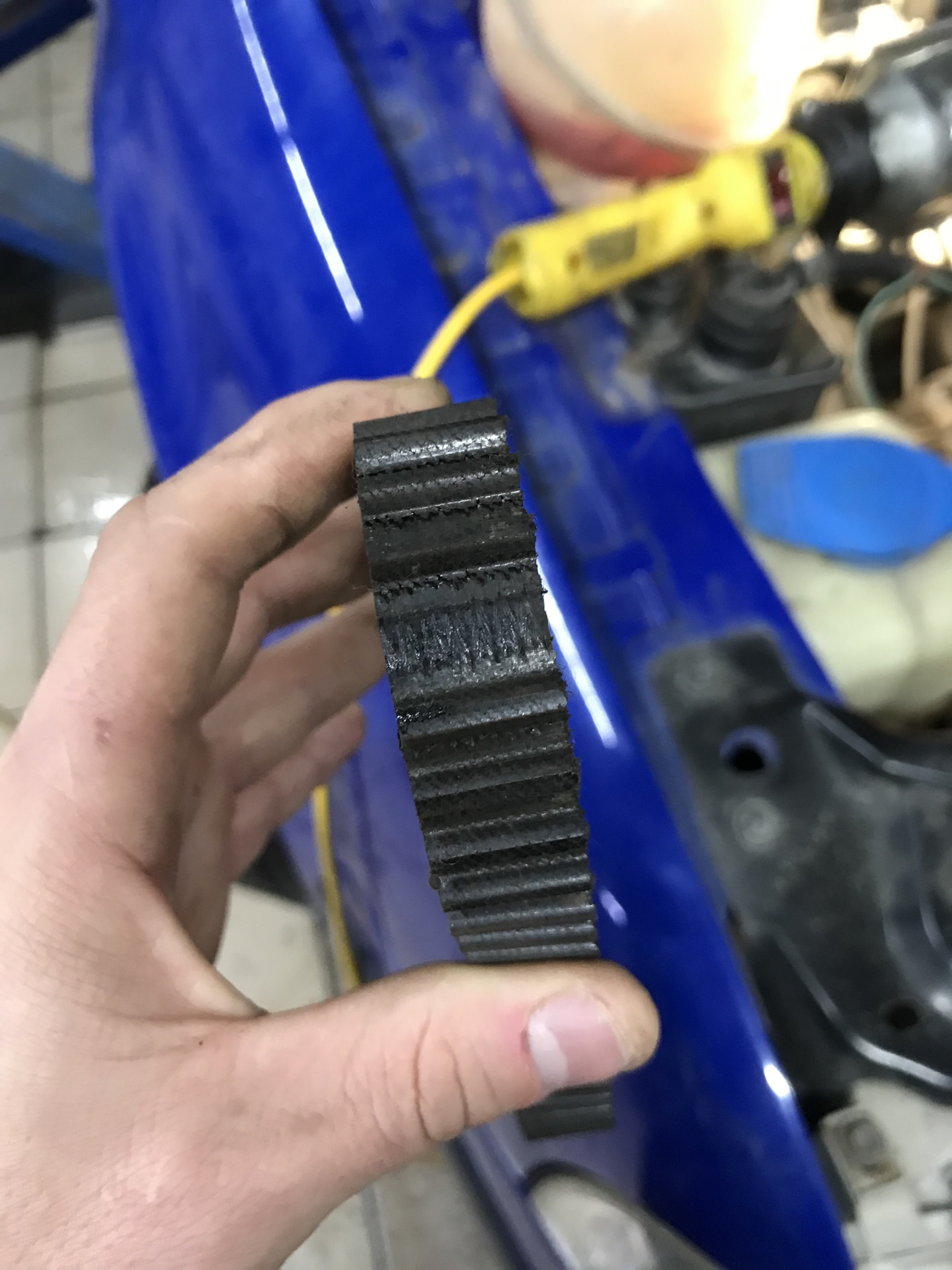 Замена ремня грм шкода октавия тур 1.4 — Skoda Octavia A4 Mk1, 1,4 л ...