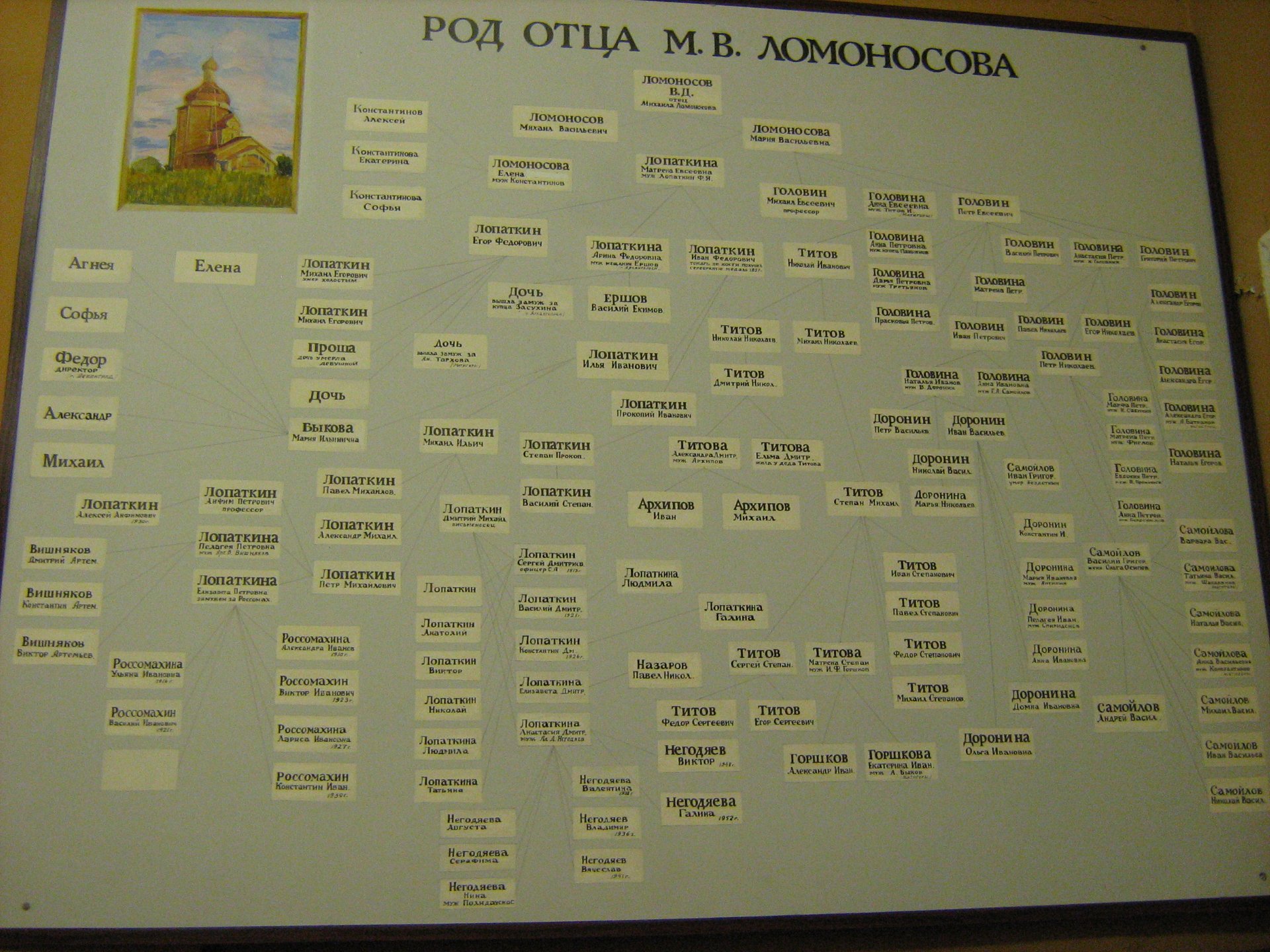 Отец рода. Семейное Древо Ломоносова. Ломоносов генеалогическое дерево. Генеалогическое Древо Ломоносова. Древо Ломоносова Михаила Васильевича.