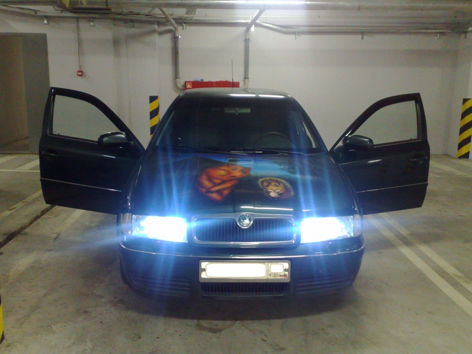 покупки — Skoda Octavia A4 Mk1, 1,4 л, 2006 года | просто так | DRIVE2