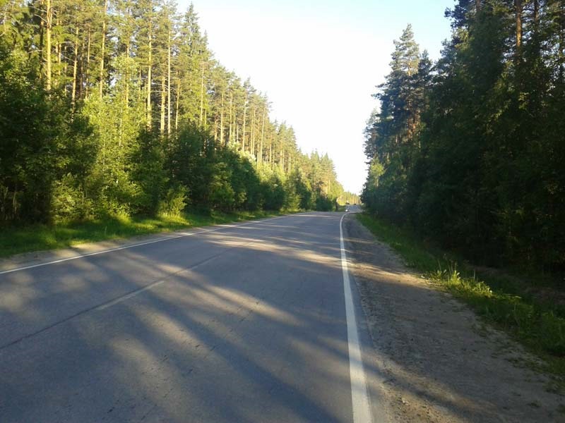 Обычная дорога. Дороги Новосибирской области. Фото дороги Новосибирской области. Дорога обычное фото.