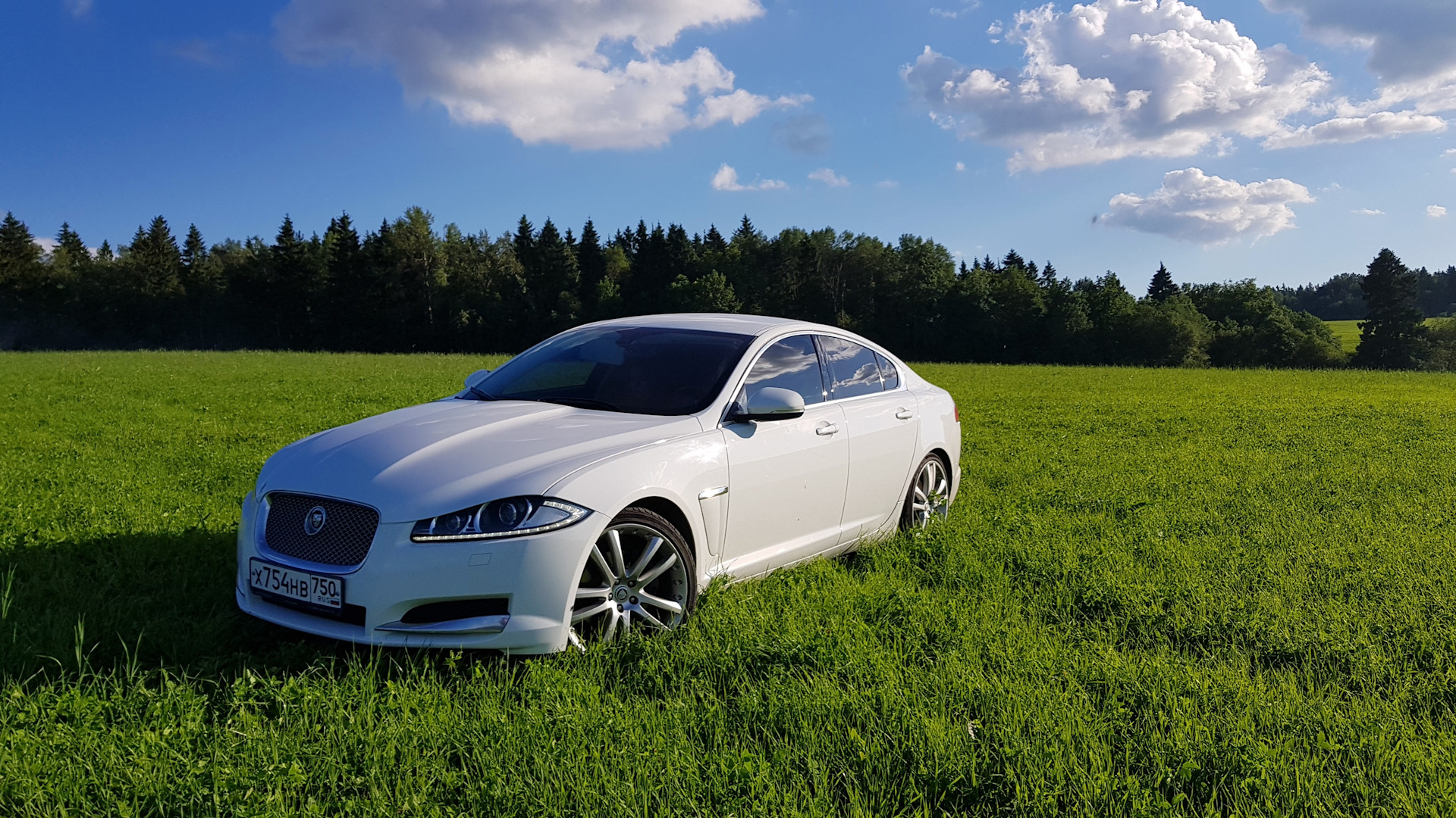 Jaguar xf. Yaguar XF 1. Ягуар FX белый. Ягуар XF 350.