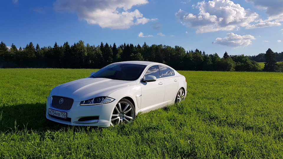 Jaguar xf картинки