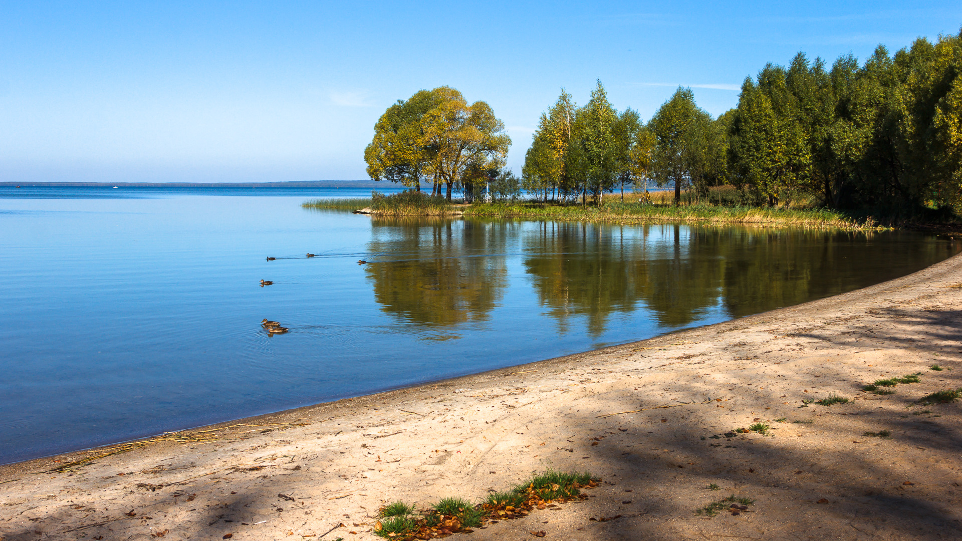 плес городской пляж