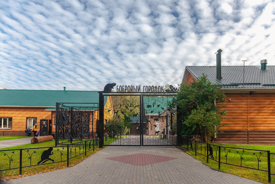 воронежский заповедник история создания. dd65945s 960. воронежский заповедник история создания фото. воронежский заповедник история создания-dd65945s 960. картинка воронежский заповедник история создания. картинка dd65945s 960. Липецкая и Воронежская области воронежский заповедник история создания. dd65945s 960. воронежский заповедник история создания фото. воронежский заповедник история создания-dd65945s 960. картинка воронежский заповедник история создания. картинка dd65945s 960. Липецкая и Воронежская области