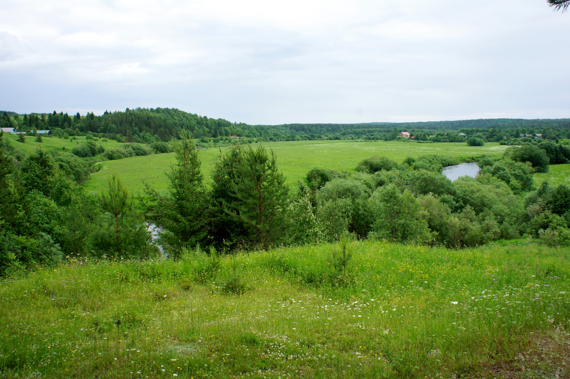 Погода майка курганская