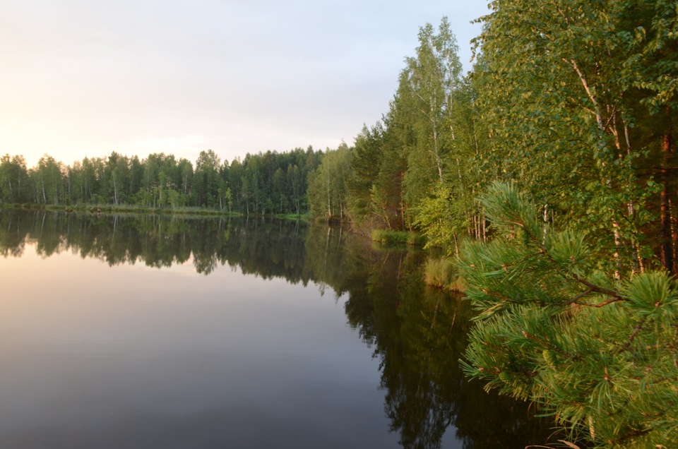 Озеро есть окончание. Палшемское озеро Вологодская область. Озеро Еланач. Озеро Елисинское Свердловская область. Озеро ратное.