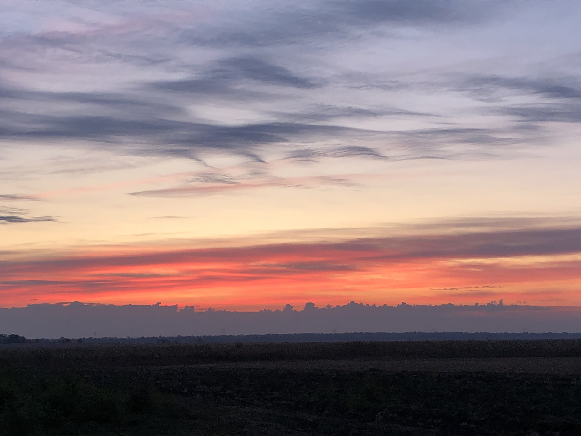 Солнце в тумане. За лесом разгоралась заря всякая былинка. 1 октября рассвет. Утреннее небо. Рассвет.