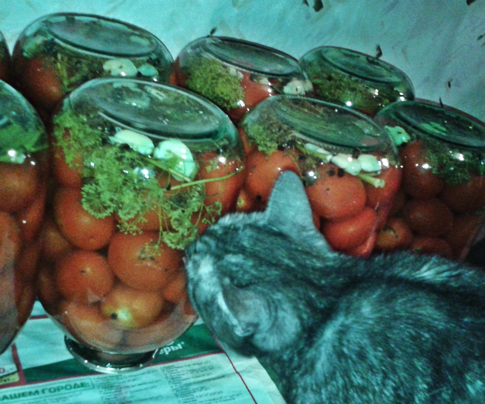 Операция "Консервация" — DRIVE2