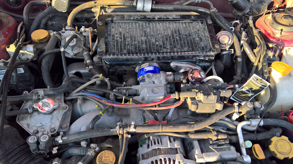 Фото в бортжурнале Subaru Forester (SF)