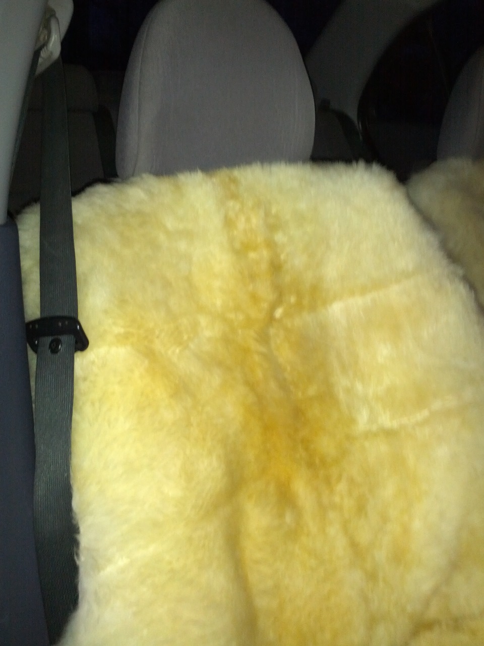 Чехлы на сидения — Nissan Almera II (N16), 1,5 л, 2004 года ...